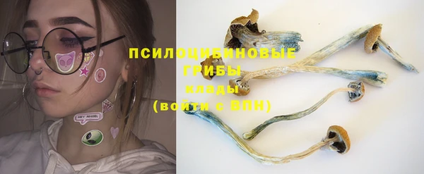 дживик Алексин