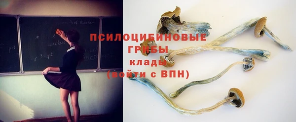 молекула духа Алзамай
