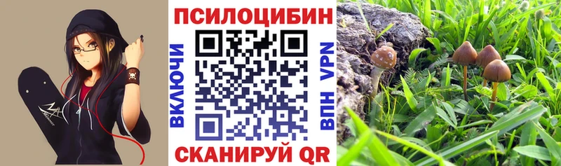 мега ССЫЛКА  Гусиноозёрск  это официальный сайт  цены наркотик  Псилоцибиновые грибы прущие грибы 